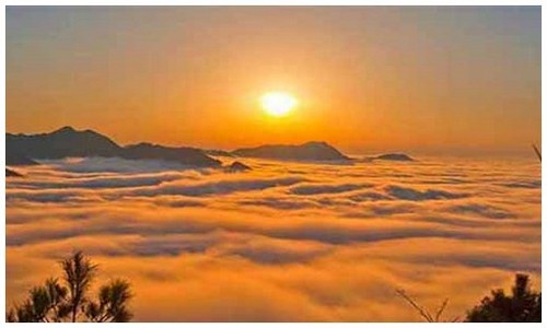 2026最新龙岛异兽入坑指南电脑端如何安装？附新手入门流程